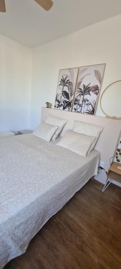 Maison De Ville Au Bord Du Lez, 170M2 Cosy. Bollene Bagian luar foto